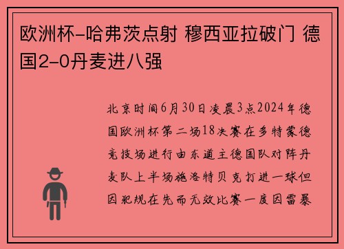 欧洲杯-哈弗茨点射 穆西亚拉破门 德国2-0丹麦进八强
